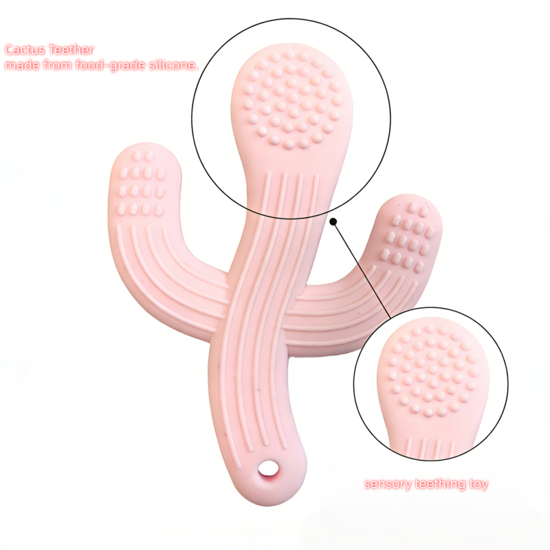 Pink cactus teether front and back views, food-grade silicone baby teething toy with textured arms and base hole